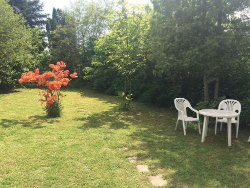 Vadgalamb Apartman