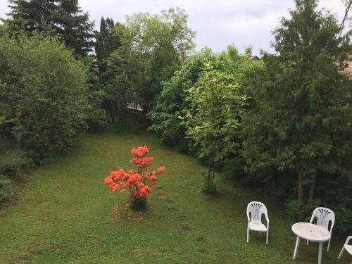 Vadgalamb Apartman