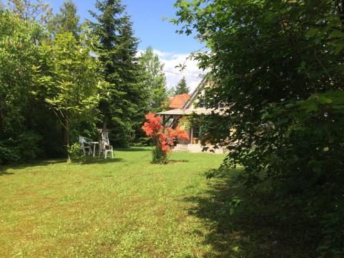 Vadgalamb Apartman
