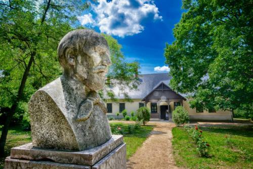 Wellness Apartments In Velence