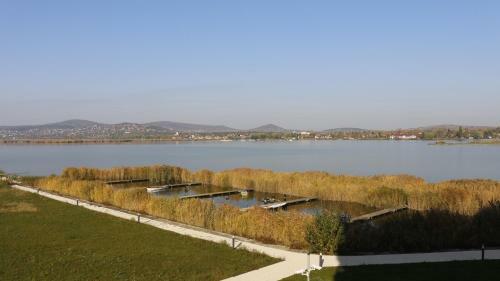 Wellness Apartments In Velence
