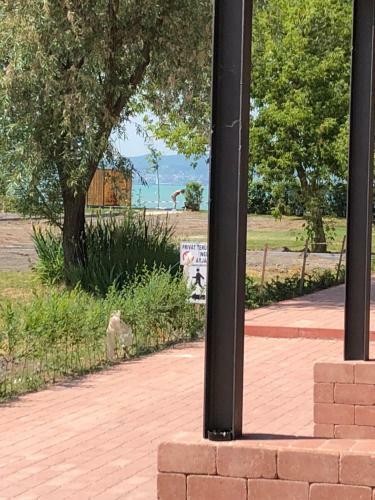 Zam�rdi Parti Apartman