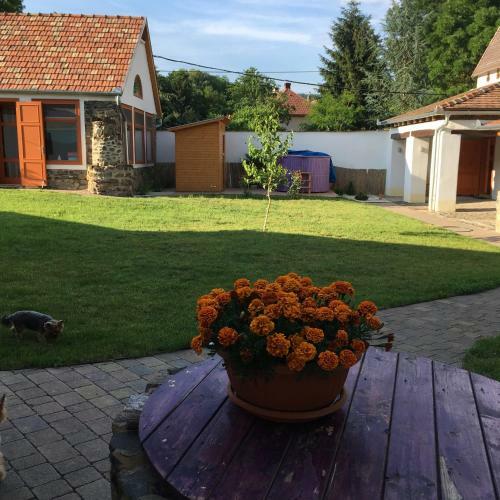 Hostal Sadhana Yoga Retreat Centre