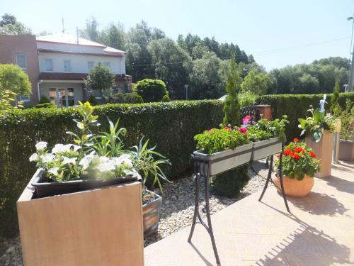Herkules Apartman