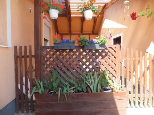 Herkules Apartman