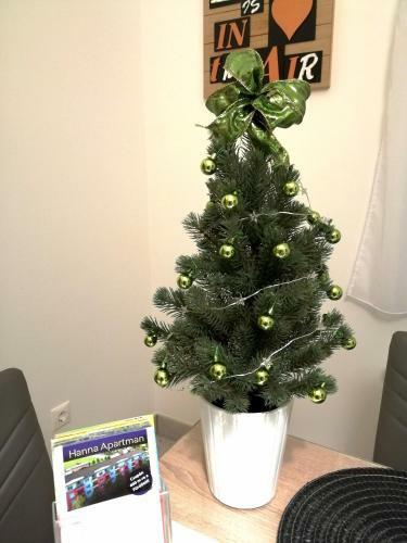 Hanna Apartman