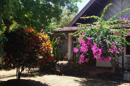 Hotel Patma Bira