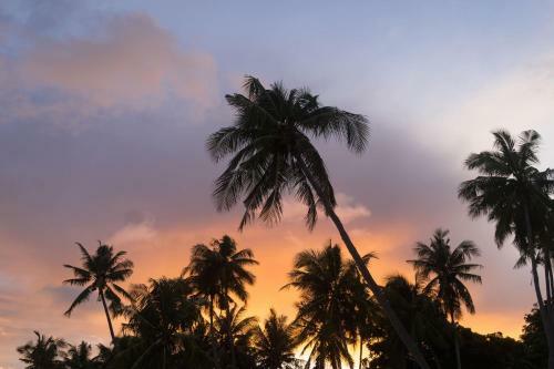 Hotel Bara Beach Bungalows