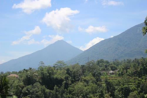 Hostal Dewata Homestay
