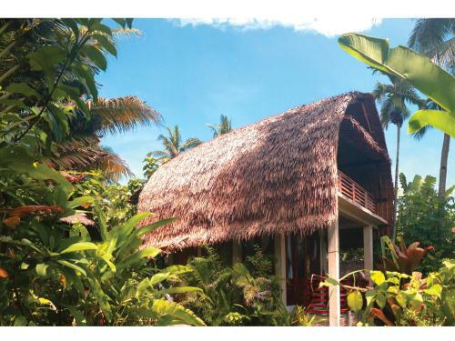 Villa Monyet Java
