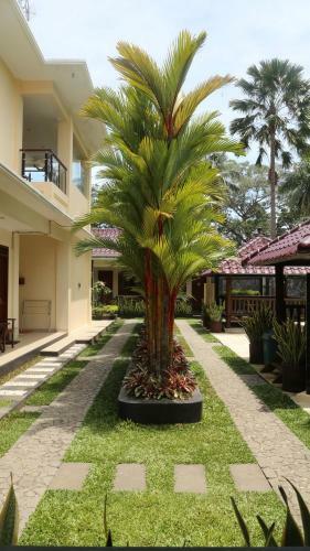Hotel Sunrise Resort Batukaras