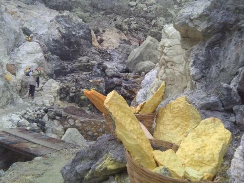 Ijen Miner Family Homestay