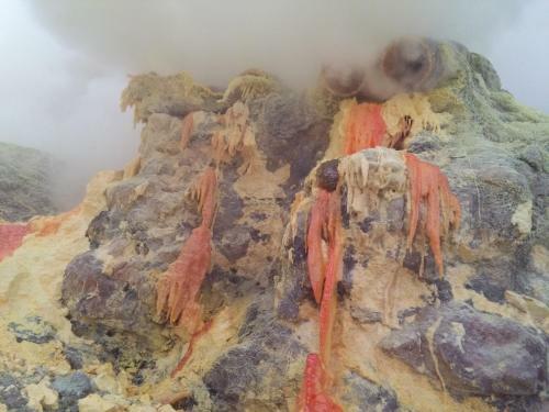 Ijen Miner Family Homestay