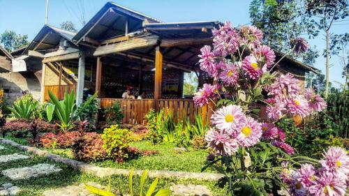 Ijen Miner Family Homestay