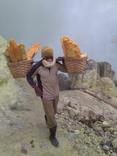Ijen Miner Family Homestay