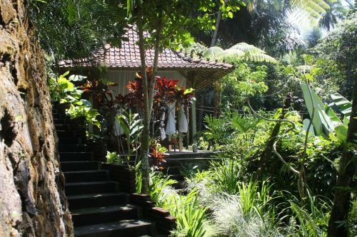 Hotel Java Amazon Villa&resort