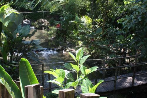 Hotel Java Amazon Villa&resort