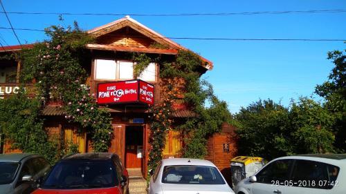 Elga�s Punk Rock Hostel