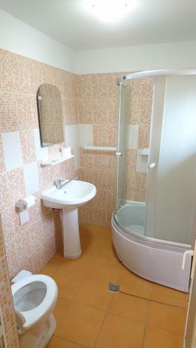 Hostal Vila Ciobanel