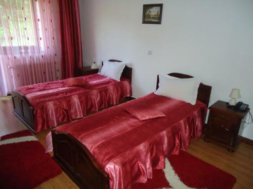 Hostal Pensiunea Geona