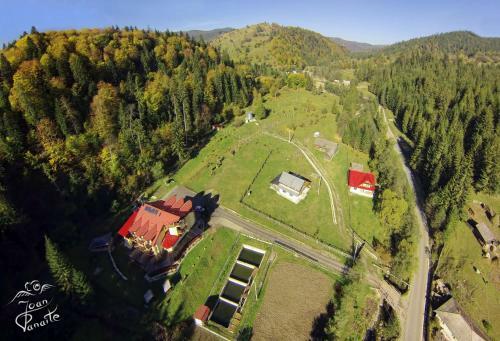 Hostal Pensiunea Geona