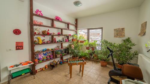 Hostal Pensiunea Ana