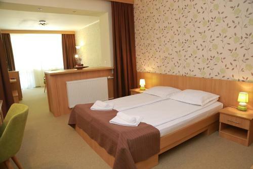 Hostal Hotel Muresul Health Spa