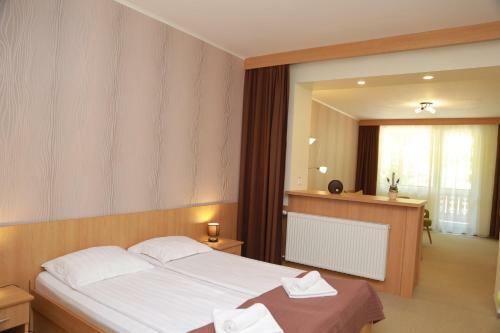 Hostal Hotel Muresul Health Spa