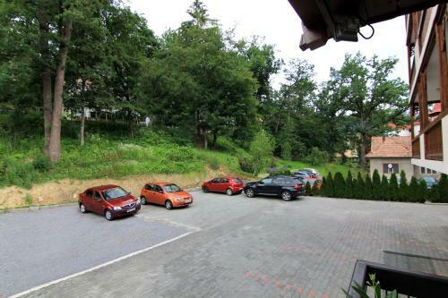 Hostal Hotel Muresul Health Spa