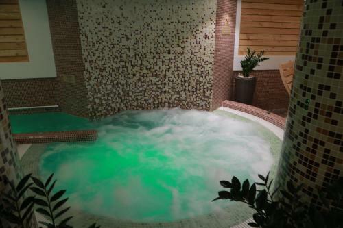Hostal Hotel Muresul Health Spa