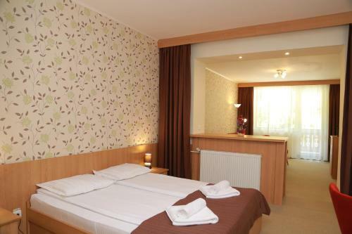 Hostal Hotel Muresul Health Spa