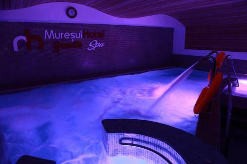 Hostal Hotel Muresul Health Spa