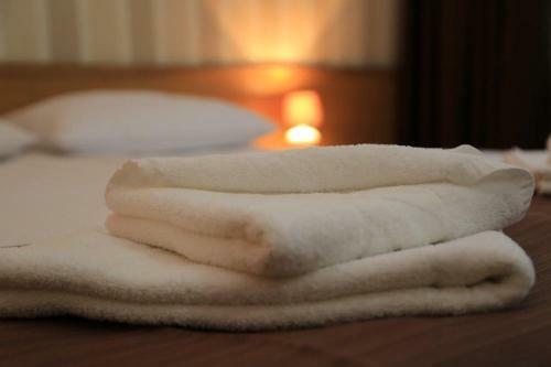 Hostal Hotel Muresul Health Spa