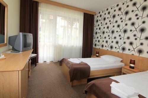 Hostal Hotel Muresul Health Spa