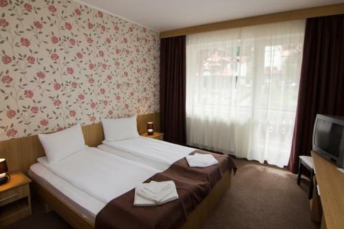 Hostal Hotel Muresul Health Spa