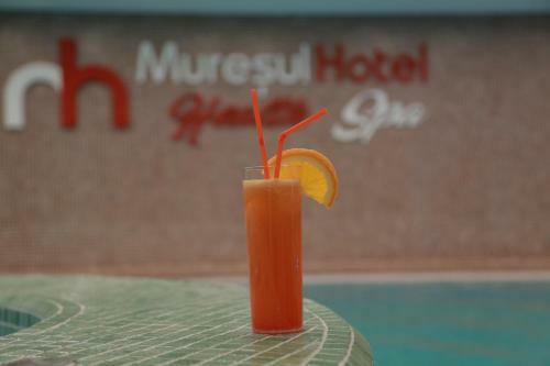 Hostal Hotel Muresul Health Spa