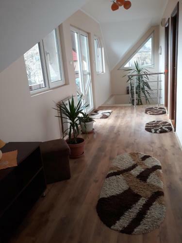 Hostal Eszter Gasthaus