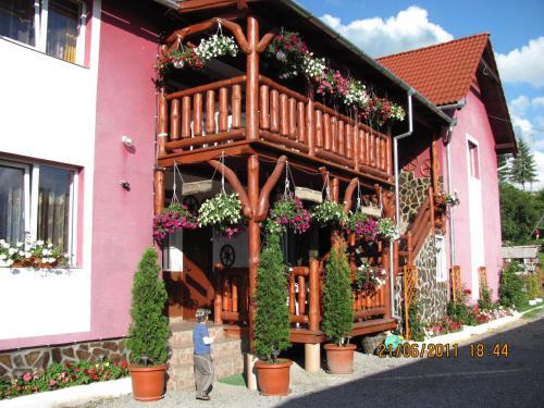 Hostal Pensiunea Robika Sovata
