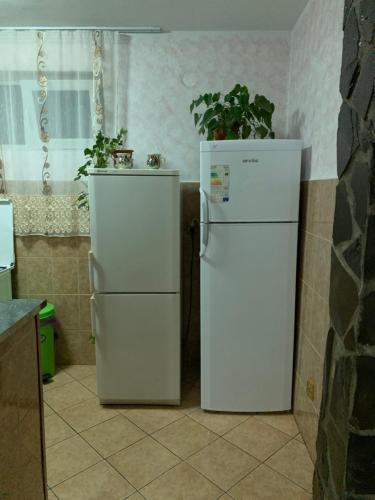 Hostal Pensiunea Robika Sovata