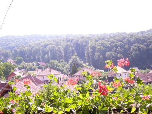 Bed & Breakfast Csaki Vendeghaz