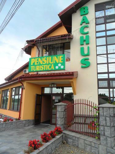 Hostal Pensiunea Bachus