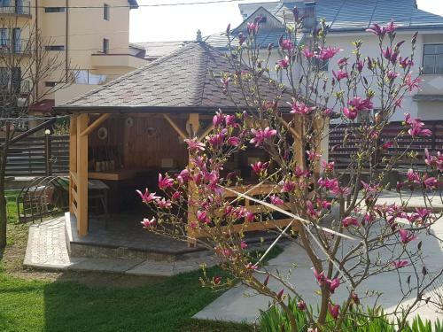 Hostal Pensiunea Bradu