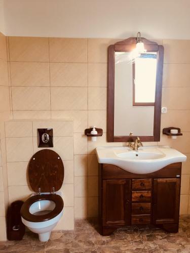 Hostal Pensiunea Ambiance