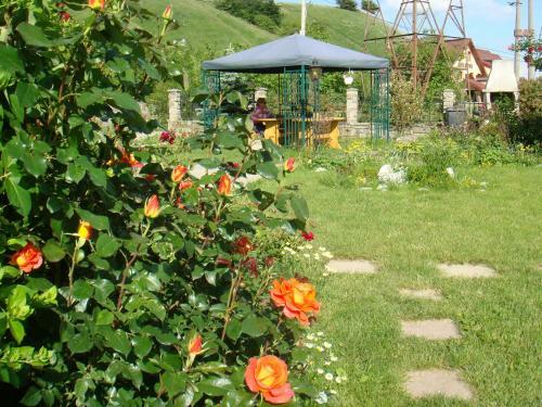 Hostal Pensiunea Ambiance