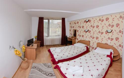 Hostal Pensiunea Moldova
