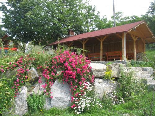 Hostal Pension Irina