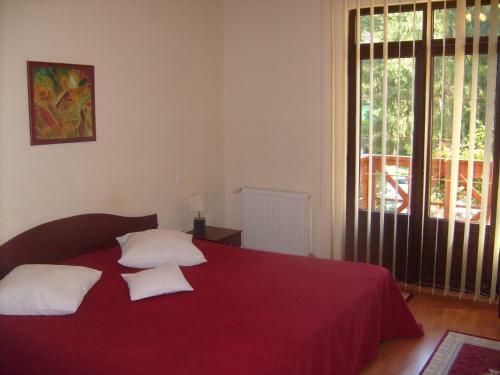 Hostal Pensiunea Speranta