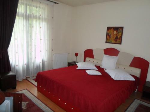 Hostal Pensiunea Speranta