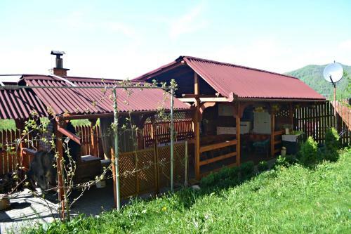 Hostal Pensiunea Contesa