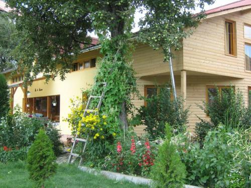 Hostal Pension Dor De Bucovina